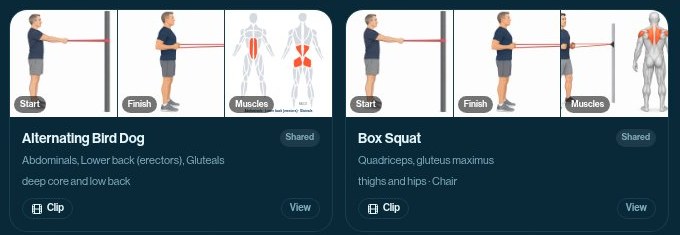 Exercise library cards with start and finish frames and a muscle map